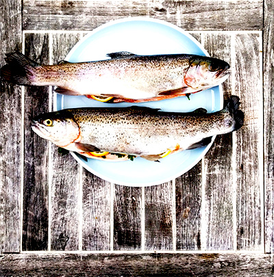 Fish Cakes